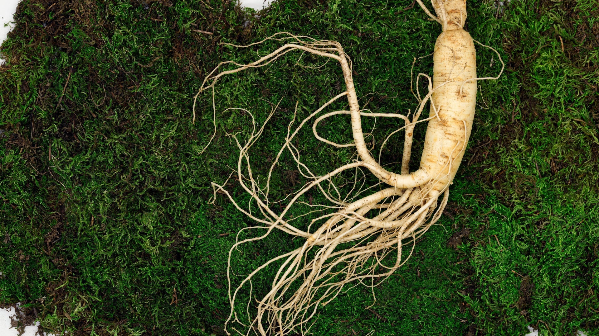 Natuurlijke lustopwekkers: Hoe ingrediënten zoals epimedium en panax ginseng werken